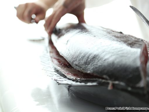 Wahoo – Hook Up to Plate Up